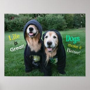 Golden Retriever Life är Underbart Poster