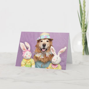 Golden Retriever lite Bunny Speciellare Påsk Kort
