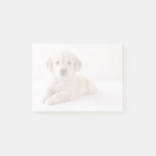 Golden Retriever Ljuger ner Post-it Block (Framsida)