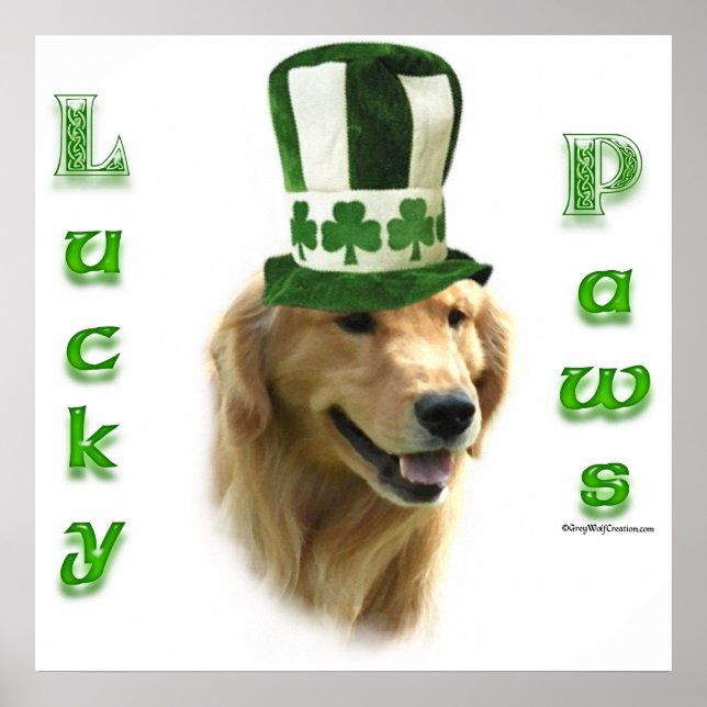 Golden Retriever Lucky Tassar Poster (Framsidan)