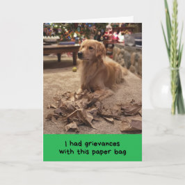 Golden Retriever Luftar Sina Klagomål Semestern Kort