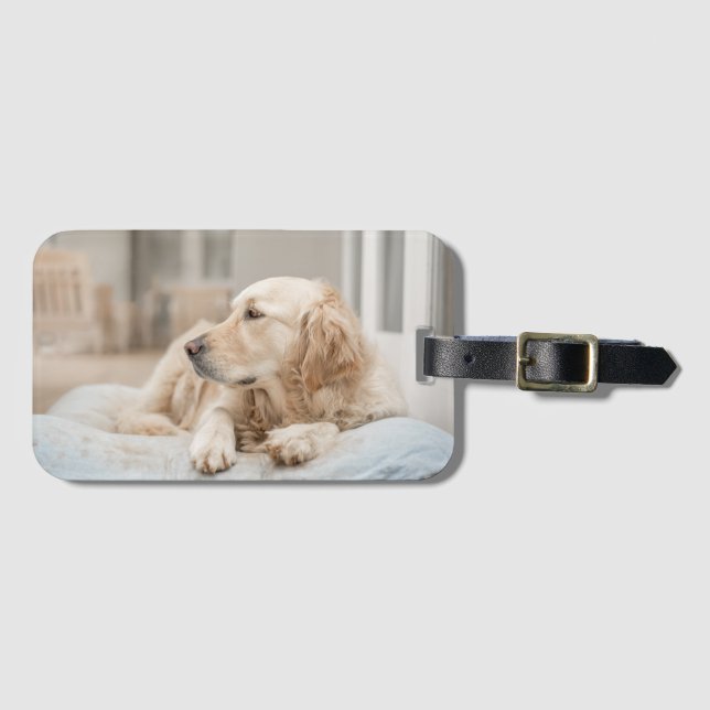 Golden Retriever Luggage Tag Bagagebricka (Framsida horisontal)