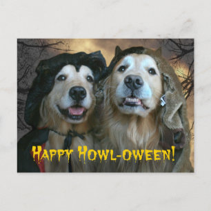 Golden Retriever Lycklig Howl-oween Vykort