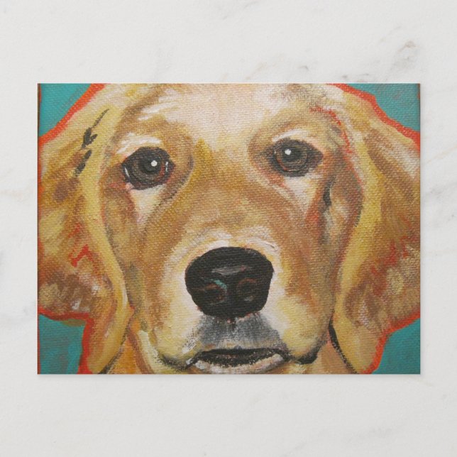 Golden Retriever - "Maddie" - vykort (Framsida)
