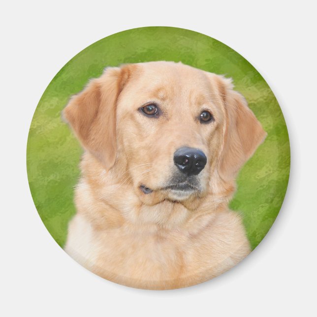 Golden Retriever Magnet (Framsidan)