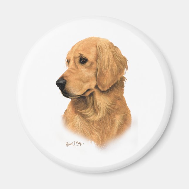 Golden Retriever Magnet (Framsidan)