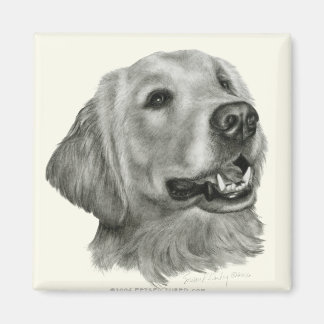 Golden Retriever Magnet