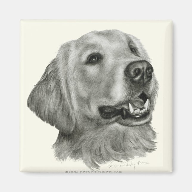 Golden Retriever Magnet (Framsidan)