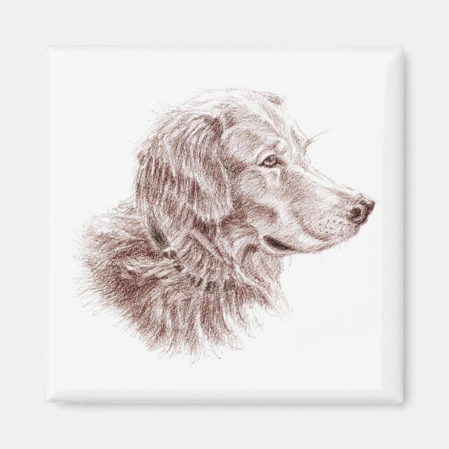 Golden Retriever Magnet (Framsidan)