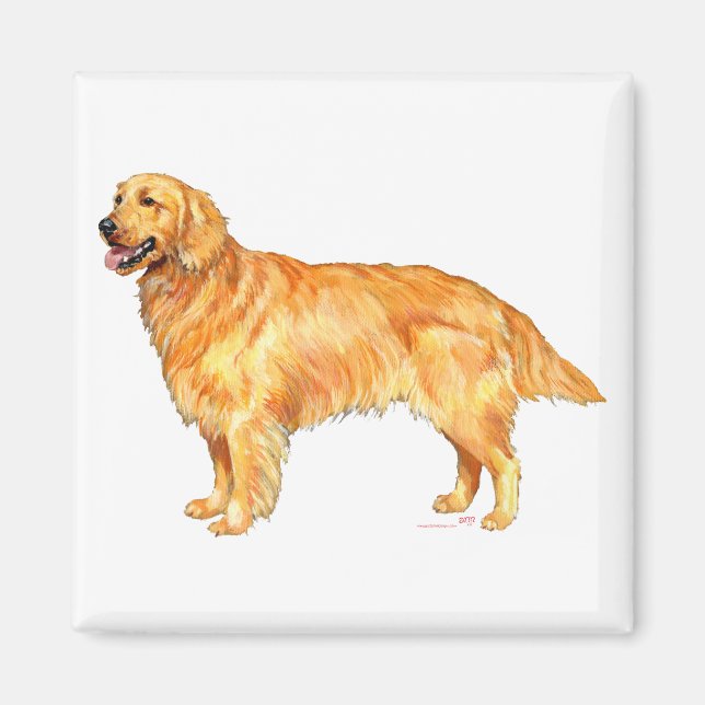 Golden Retriever Magnet (Framsidan)