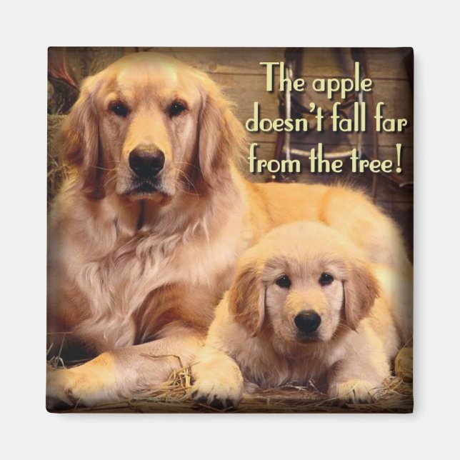 Golden Retriever Magnet (Framsidan)