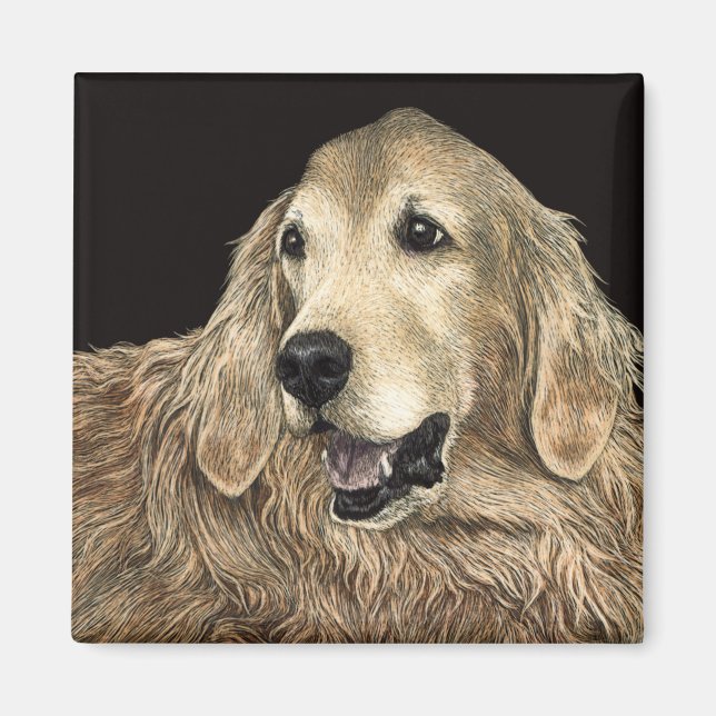 Golden Retriever Magnet - "Bear" (Framsidan)