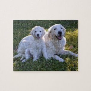 Golden Retriever Mamma och Puppy Pussel