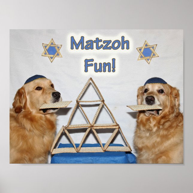 Golden Retriever Matzoh Roligt Passover Poster (Framsidan)