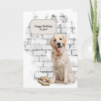 Golden Retriever med baseboll och handskar