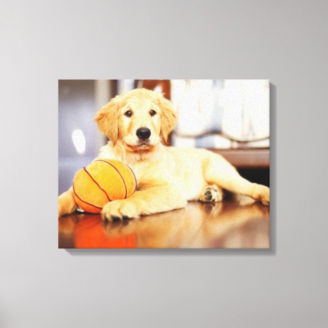 Golden Retriever med basket Leksak Canvastryck (Framsida)