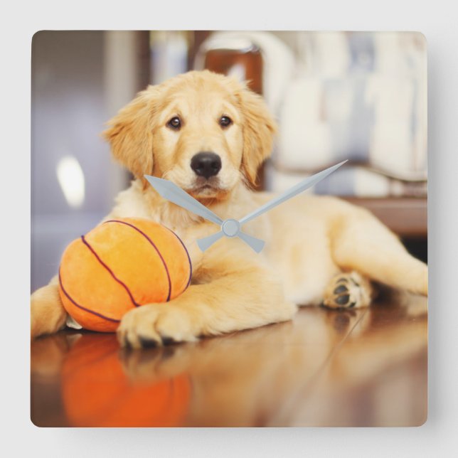 Golden Retriever med basket Leksak Fyrkantig Klocka (Framsida)