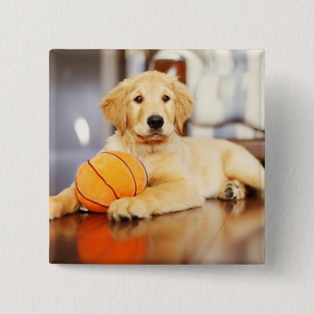 Golden Retriever med basket Leksak Knapp (Framsida)