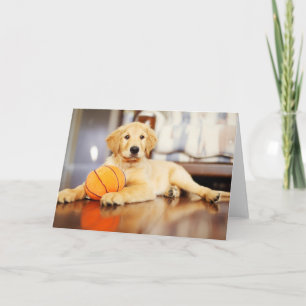 Golden Retriever med basket Leksak Kort