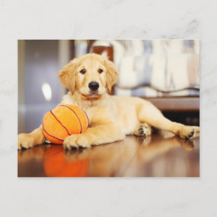 Golden Retriever med basket Leksak Vykort
