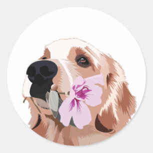 Golden Retriever med blomma Runt Klistermärke