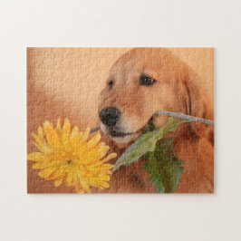 Golden Retriever med blomstrande pussel