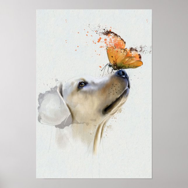 Golden Retriever med en fjäril på näsan Poster (Framsidan)