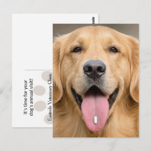 Golden Retriever med en Piller Vykort