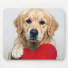 Golden Retriever Med En Röd Hjärtkudde