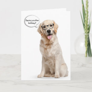Golden Retriever med glasögon Kort