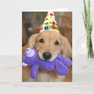 Golden Retriever med Grattis på födelsedagen Hat o Kort