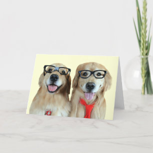 Golden Retriever med gratulerat glas, gratulations Kort