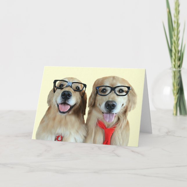 Golden Retriever med gratulerat glas, gratulations Kort (Framsida)