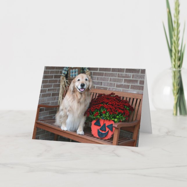 Golden Retriever med Halloween Pumpkin Planter Kort (Framsida)