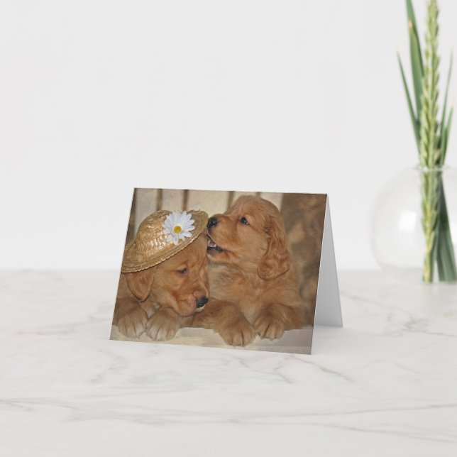 Golden Retriever med hatt Kort (Framsida)
