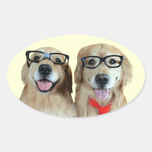 Golden Retriever med hylsglasögon Ovalt Klistermärke