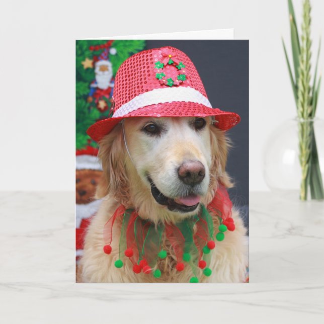 Golden Retriever med julklapp Fedora Hat Helgkort (Framsida)