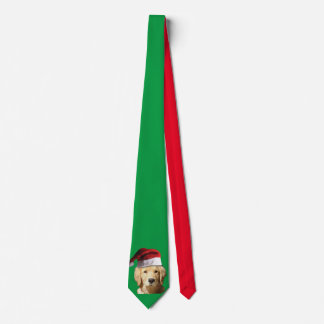 Golden Retriever med Jultomten Hat Slips