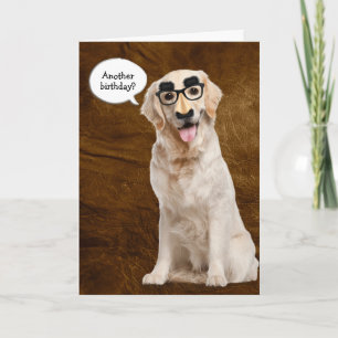 Golden Retriever med lustig mask på läder Kort