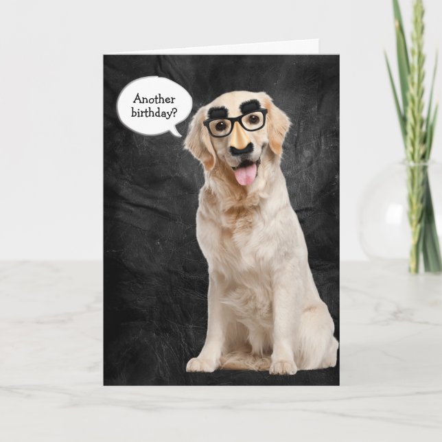 Golden Retriever med lustig mask på läder Kort (Framsida)