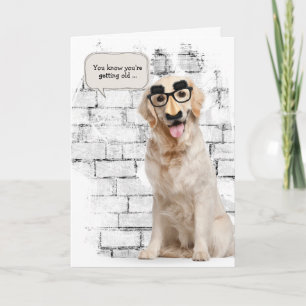 Golden Retriever med lustig maskfödelsedag Kort