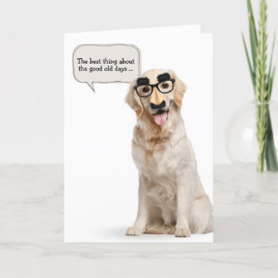 Golden Retriever med lustig maskfödelsedag Kort