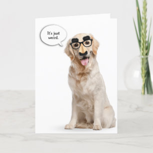 Golden Retriever med lustig maskfödelsedag Kort
