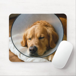 Golden Retriever med medicinsk krage Musmatta
