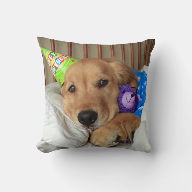 Golden Retriever med Nalle födelsedag Kudde (Framsida)