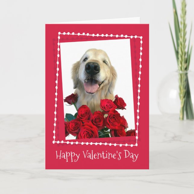 Golden Retriever med Röd ros Alla hjärtans dag Helgkort (Framsida)