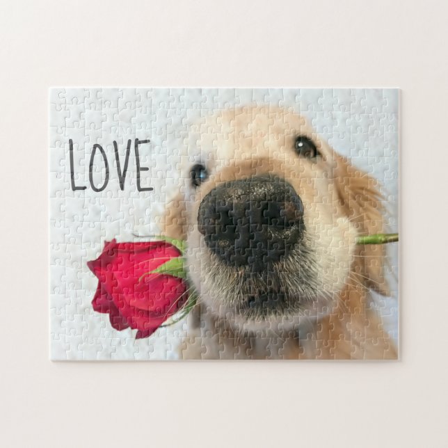 Golden Retriever med Röd ros Valentine Kärlek Pussel (Horisontell)