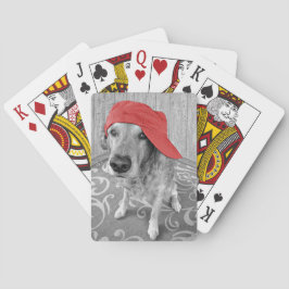 Golden Retriever med rött lock Casinokort