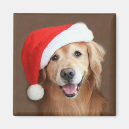 Golden Retriever med Santa Hat Magnet