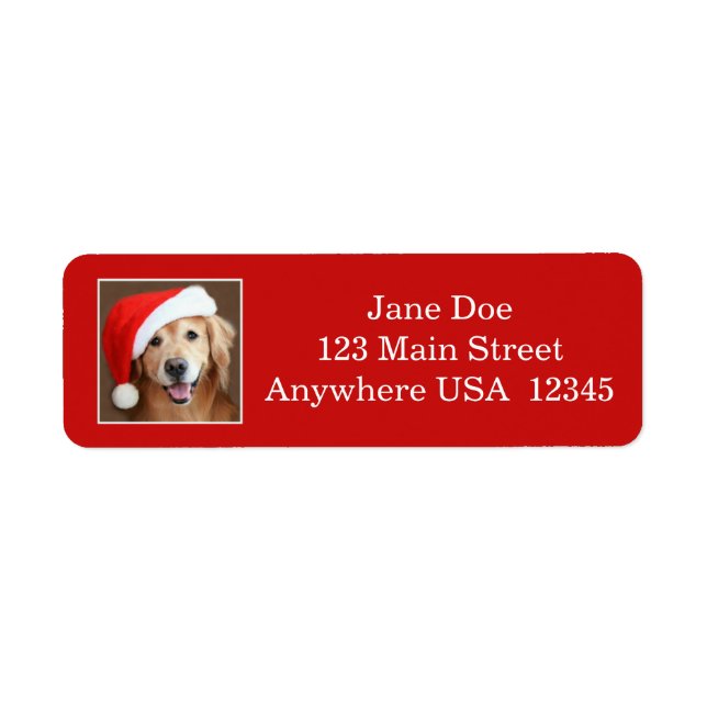 Golden Retriever med Santa Hat Returadress Etikett (Framsidan)